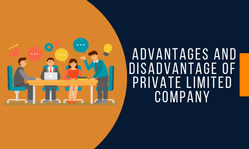 You are currently viewing Advantages and Disadvantages of Private Limited Company